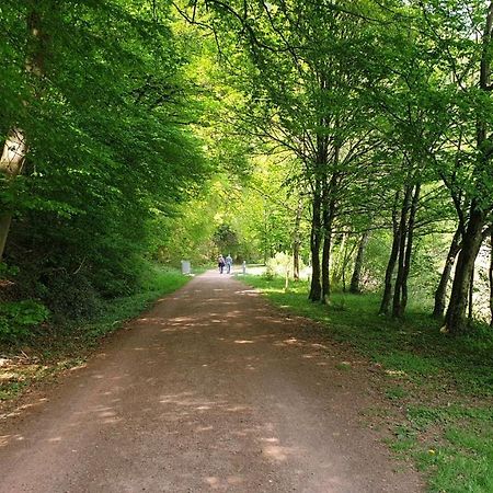 Ferienwohnung Am Saarweg مرتسيغ المظهر الخارجي الصورة