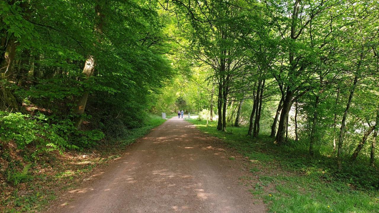 Ferienwohnung Am Saarweg مرتسيغ المظهر الخارجي الصورة