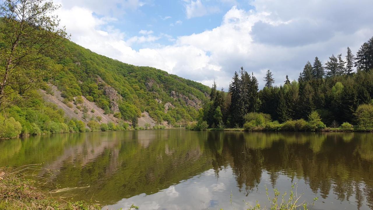 Ferienwohnung Am Saarweg مرتسيغ المظهر الخارجي الصورة