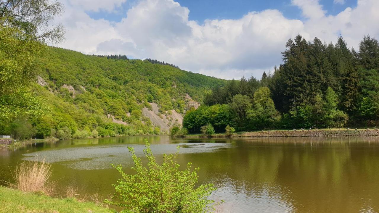 Ferienwohnung Am Saarweg مرتسيغ المظهر الخارجي الصورة